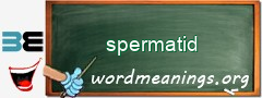 WordMeaning blackboard for spermatid